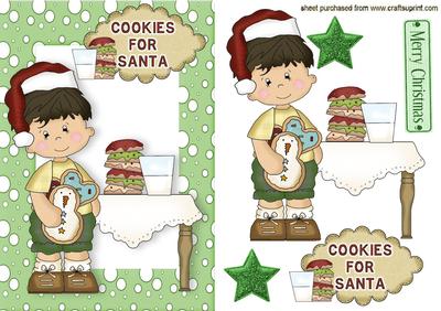 Cute Boy with Cookies for Santa