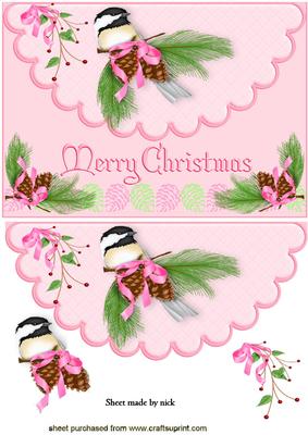 Little Bird with Honeycombes Scalloped Envelope