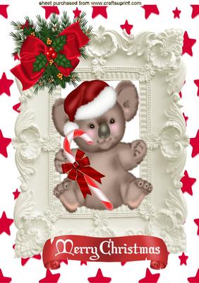 Koala with Stars, Bows, in Ornate Frame A4