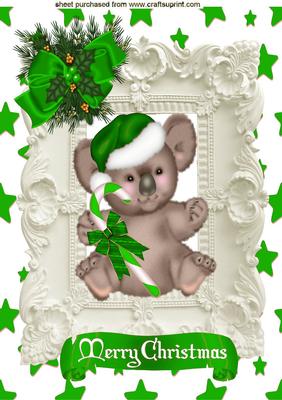 Koala Bear in Green in Ornate Frame