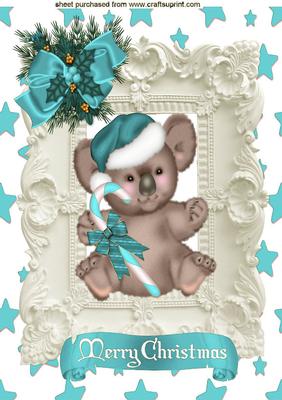 Koala Bear in Turq in Ornate Frame A4