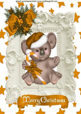 Koala Bear in Gold in Ornate Frame A4