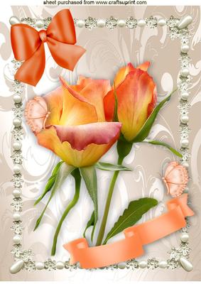 Peach Roses in a Pretty Pearl Frame A4