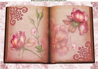 Vintage Book of Pink Roses and Butterflies A4