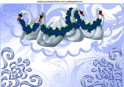 Pretty White Swans with Blue Garlands A4