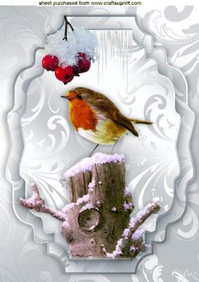 Red Robin with Red Berries with Snow A4