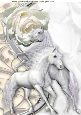 White Horses with a White Rose A4