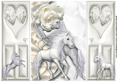 White Horses with Rose, Gatefold