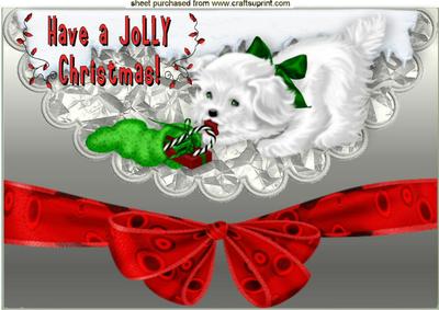 Cute White Puppy with Stocking on Scalloped Envelope A4
