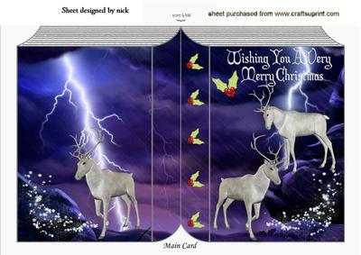 Stags on a Rock with a Thunderstom and Snow Folded Book