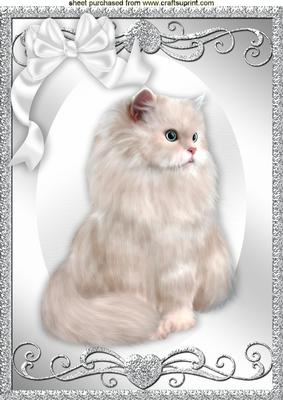 Beautiful Fluffy Cat with Big White Bow A4