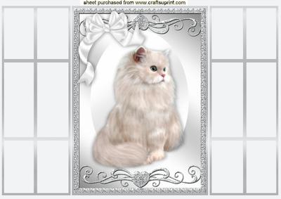 Gorgeous White Fluffy Cat, with White Bow, French Gatefold