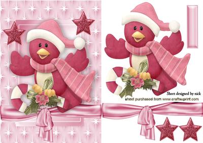 Cute Robin in Santa Hat in Star Frame