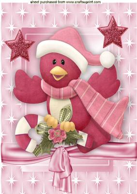 Cute Robin in Santa Hat in Star Frame A4