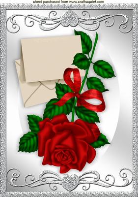 Red Rose with Christmas Bow in Silver Ornate Frame A4