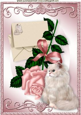 Pink Rose with Fluffy White Cat A4
