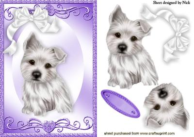 White Little Westie Pup in Ornate Frame