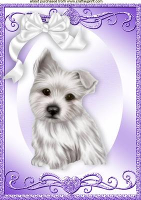 White Little Westie Pup in Ornate Frame A4