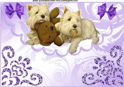 Cute Westies and Teddy Bear on Scalloped Envelope A4