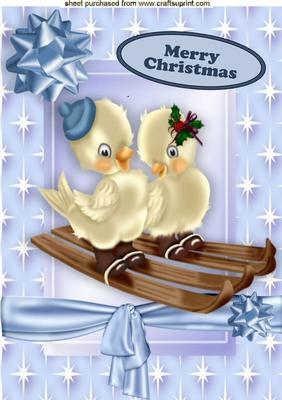 Little Love Birds on Ski's in Star Frame A4