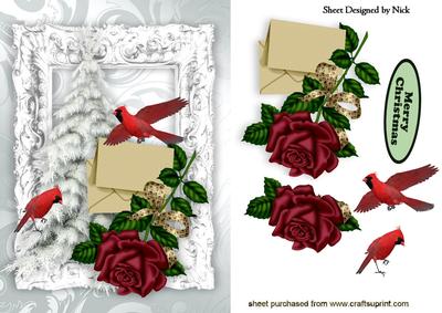 Red Rose with Red Cardinals, in Silver Frame