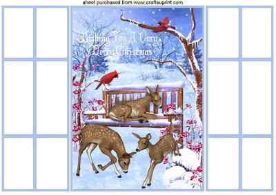 Lovely Christmas Scene of Playful Deer, French Gatefold