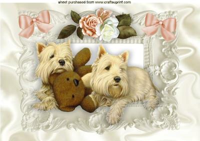 Cute Westies in Ornate Scroll Frame A4