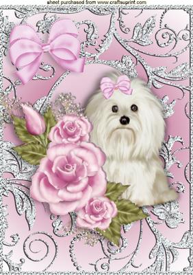 Cute Little Westie with Pink Roses A4