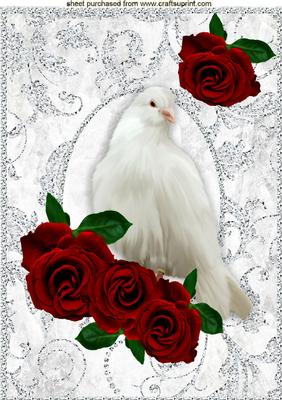Red Roses in Diamonte Frame with a Dove A4
