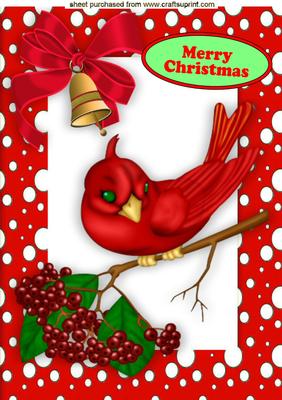 Little Red Bird on a Branch with Bell in a Snow Frame A4