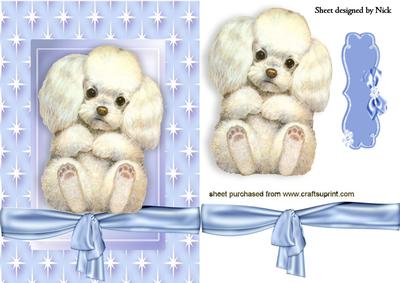 Cute Little Pooch in a Star Frame