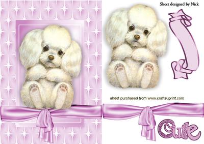 Soooooo! Cute Little Puppy in Star Frame
