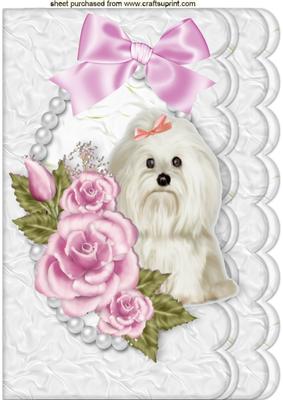 Cute Westie with Pink Roses in Pearl Frame A4