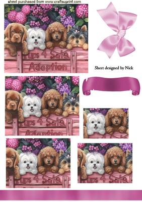 Cute Puppies Need Adopting, Pyramids