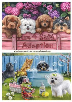 Cats N Dogs Galore Toppers