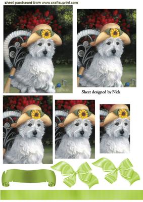 Cute Little Westie in Sun Hat, Pyramids