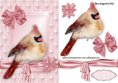 Sweet Little Bird in Star Frame with Bow