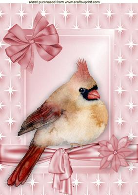 Sweet Little Bird in a Star Frame A4
