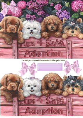 Cute Little Puppies with Bow A5