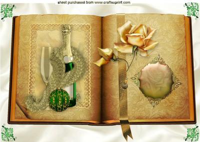 Beautiful Fur Stole and Champers with Gold Rose Book A4