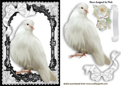 White Dove in Black Lace Frame with White Bow