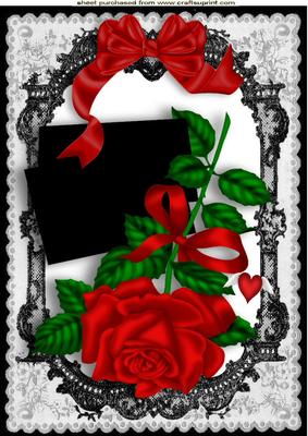 Sultry Black Lace Frame with Red Rose A4