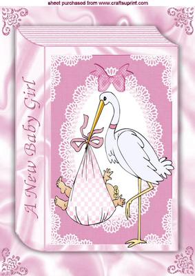 Baby Girl with Stork Large Folded Book A4