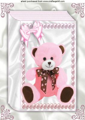 Pink Fluffy Teddy on a Folded Book A4