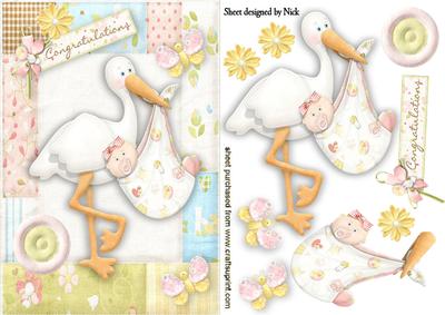 Sweet Baby Girl with Stork in Flower Frame