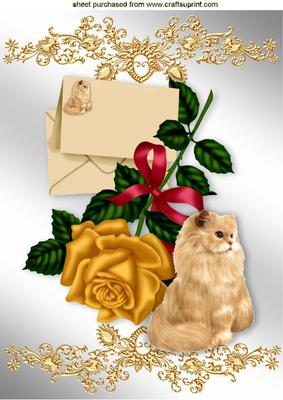 Gold Rose with Envelope and Fluffy Cat A4