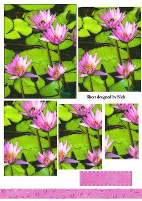 Beautiful Pink Lillies Pyramids
