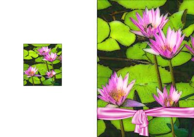 Pretty Pink Lillies Ready Made A5 Card