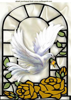 Beautiful White Dove with Gold Roses in Window Frame A4