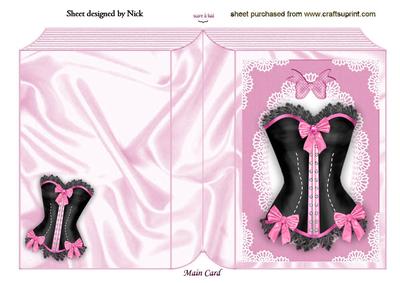 Ladies Gorgeous Basque in Lace Frame Folded Book